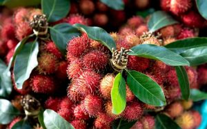 Discover 39 Vibrant Foods That Are Red