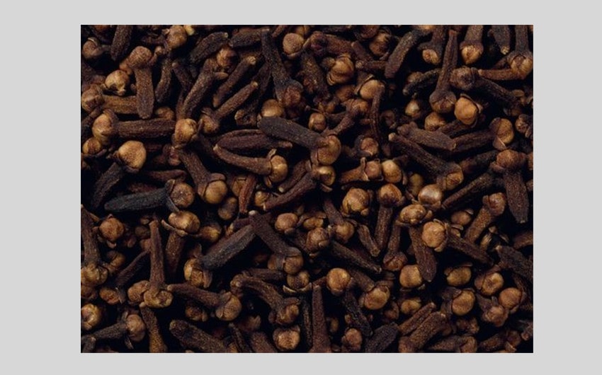 Clove