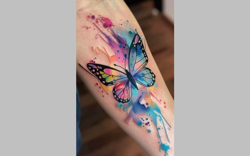 Butterfly